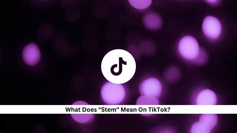 What Does Stems Mean in Music? And Why Do They Sometimes Sound Like Alien Languages?